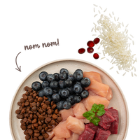 BOSCH Sanabelle Adult Sensitive Lamm 8kg