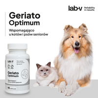 LAB-V Geriato Optimum - Gezondheidsondersteuning voor honden en katten 45 capsules