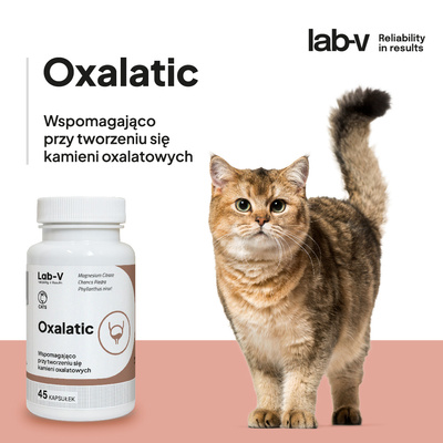 LAB-V Oxalatic - Ondersteuning bij steenvorming door kattenoxalaat 45 capsules