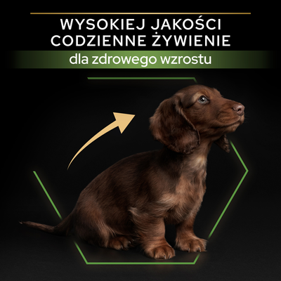 Purina Pro Plan Small & Mini Puppy Optistart Kip & Rijst 7kg