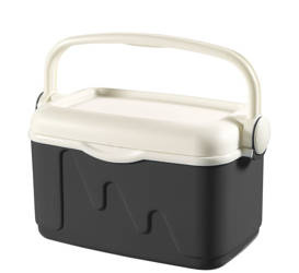 Curver 10l Toeristen Koelkast