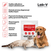LAB-V CONVALESCENT dieetvoer voor honden en katten 20 g