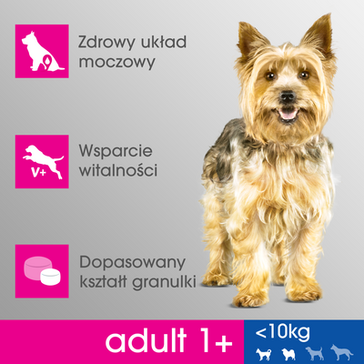 PERFECT FIT Adult 1+ Kleine rassen met kip 6kg