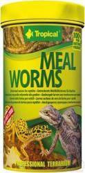 Tropical Meelwormen 100ml