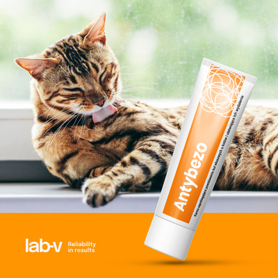 Lab-v Antibezo - pasta om het uitdrijven van haarballen uit het spijsverteringskanaal van de kat te vergemakkelijken en te voorkomen 100 g