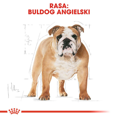 ROYAL CANIN Bulldog Adult 12kg 