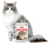 ROYAL CANIN Ageing +12 Gelee 12x85g