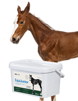 Lab-v EquiJunior - Aanvullend diervoeder voor veulens ter ondersteuning van de groei, ontwikkeling en juiste voeding van jonge paarden en pony's 2kg