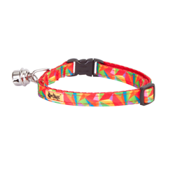 Dingo Halsband met afneembare bel voor katten Colorado
