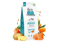 BRIT CARE Graanvrij Adult Zalm 12kg + GRATIS een verrassing voor je hond!