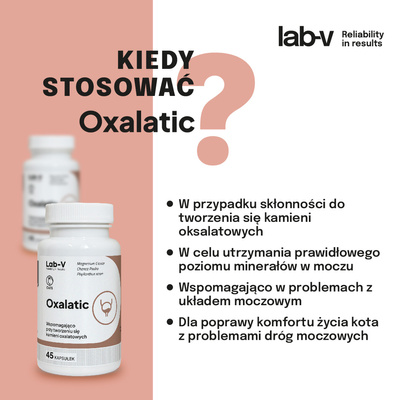 LAB-V Oxalatic - Ondersteuning bij steenvorming bij kattenoxalaat 90 capsules