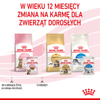 ROYAL CANIN Kitten Sterilised Sauce 12x85g 