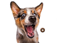 Josera Loopies Kip 150g