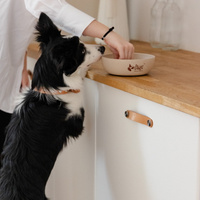 DINGO-bamboevezel antislip kom - 1500ml