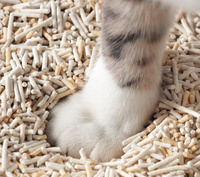 Kattenzand Love4pet klonterende kattenbakvulling tofu 2.5kg 4.3L