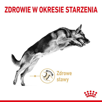 ROYAL CANIN German Shepherd Adult 5+ 12kg 