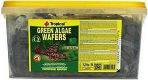 Tropical Groene algen wafels 5000ml