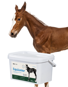 Lab-v EquiJunior - Aanvullend diervoeder voor veulens ter ondersteuning van de groei, ontwikkeling en juiste voeding van jonge paarden en pony's 2kg