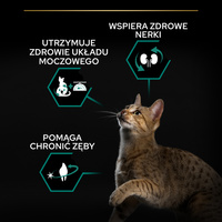 PRO PLAN Gesteriliseerd Renal kalkoen-rijk kattenvoer 10kg