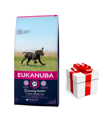 Eukanuba Puppy&Junior Large Breed 15kg + GRATIS een verrassing voor je hond!