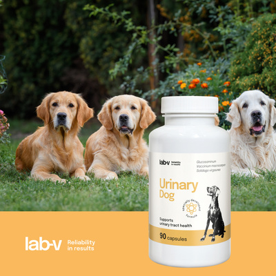 LAB-V Urinary Dog - Ondersteuning bij urineweginfecties bij honden 90 capsules