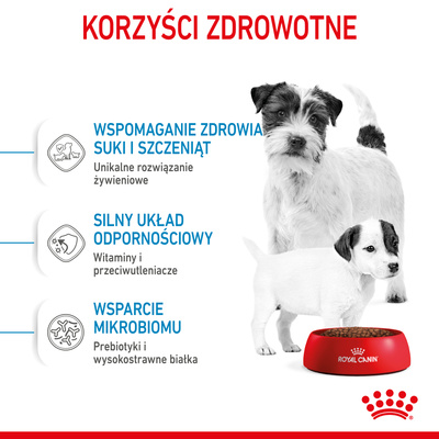 ROYAL CANIN Mini Starter 1kg 
