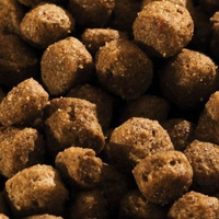 HappyDog Mini Volwassen 4kg