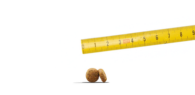 JOSERA Mini Zalm & Kip 10kg