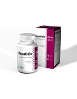 VETEXPERT Hepatiale Forte Large Breed 40 Tabletten