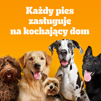 PEDIGREE® Adult Professional Nutrition 2x12kg met gevogelte en groenten - droog compleetvoer voor volwassen honden van grote en middelgrote rassen