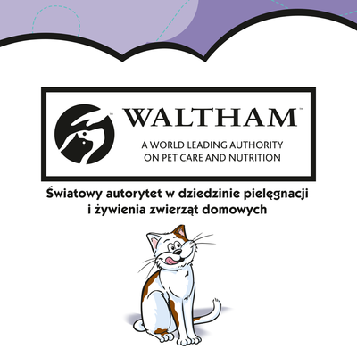 DREAMIES Eend Kattensnack 60g