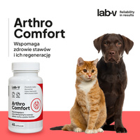 LAB-V Arthro Comfort - Uitgebreide ondersteuning van de gezondheid van gewrichten en bewegingsapparaat voor honden en katten 90 capsules