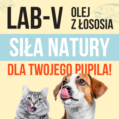 Lab-V 100% Zalmolie voor honden en katten van alle leeftijden 1000 ml Koudgeperst