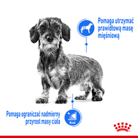 ROYAL CANIN Light Weight Care Pate 12x85g