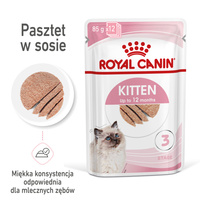 ROYAL CANIN Kitten Pate 12x85g