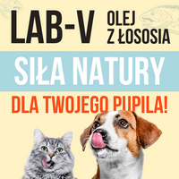 Lab-V 100% Zalmolie voor honden en katten van alle leeftijden 1000 ml Koudgeperst