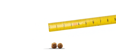 JOSERA Familie Plus 12,5kg