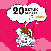 DREAMIES Kattensnack met rundvlees 60g 