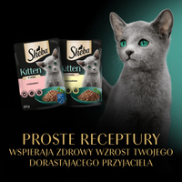 SHEBA Kitten Flavour Sachets 40x85 g - volledig natvoer voor kittens in saus (versnijdingen met: zalm, kip)