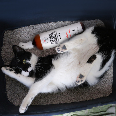 PET ODOR NEUTRALIZER_ Vlekverwijderaar en Urinegeur Neutralisator 500ml