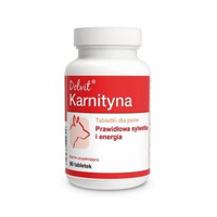 Dolfos Dolvit Karnitine 90 tabletten