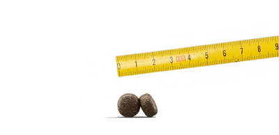 JOSERA Lamsvlees & Rijst 12,5kg