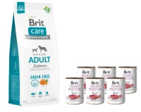 BRIT CARE Graanvrij Adult Zalm 12kg + 6xBrit Mono Protein Lamb 400g