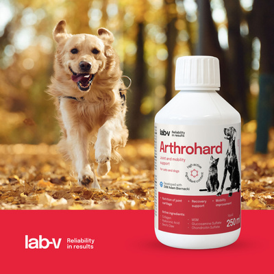LAB-V Arthrohard 250ml Gewrichtsondersteunende formule voor hond en kat