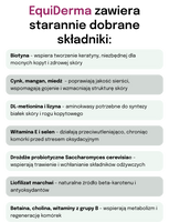 Lab-v EquiDerma - Aanvullend diervoeder voor paarden en pony's ter ondersteuning van huid-, vacht- en hoefconditie 2kg