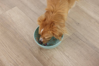 Kerbl Slippy likkom, dia. 20,5 cm, turkoois