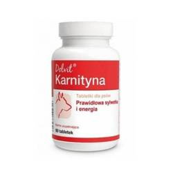 Dolfos Dolvit Karnitine 90 tabletten