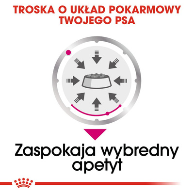 ROYAL CANIN CCN Exigent Pate 12x85g