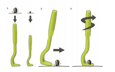 PET NOVA - Tekenverwijderaar 2st