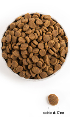 Acana Heritage Adult Large Breed 11,4kg